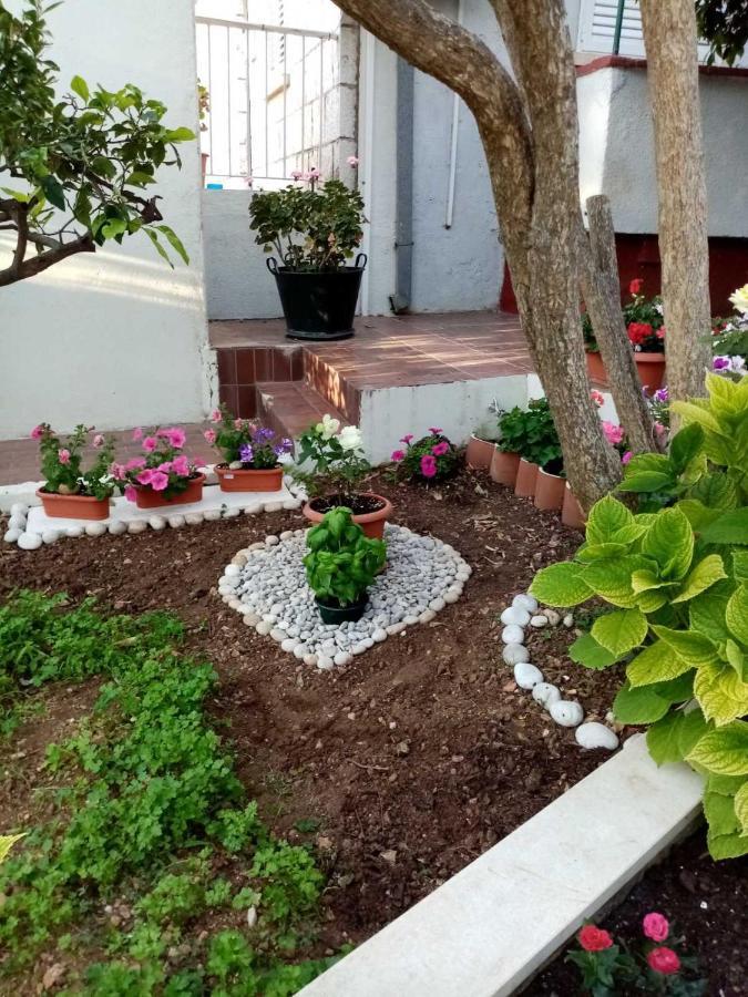 Apartament Lapad *